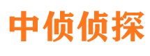 咸阳市调查公司